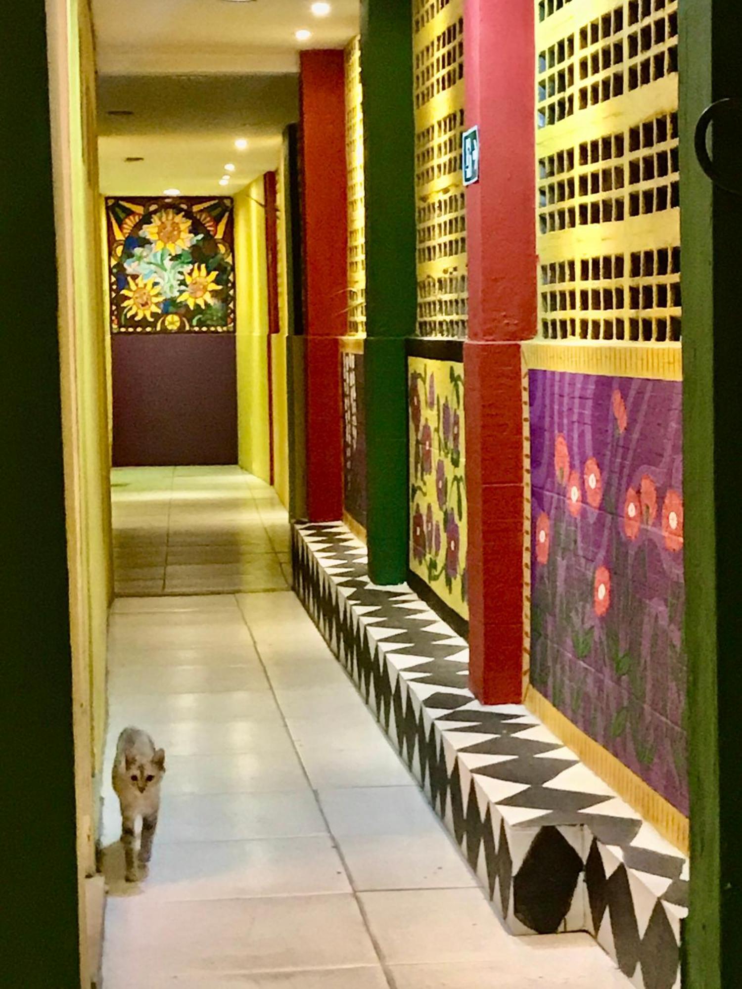 Hostel Do Rasta Salvador Ngoại thất bức ảnh